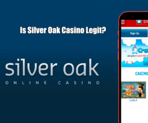 Gowin Gambling establishment Cellular Application Opinion 2024 My Web log