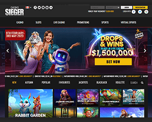 A beginners Guide to Internet casino Costs