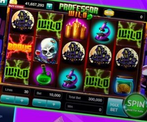 Free Bingo Video game Enjoy On the internet Bingo enjoyment