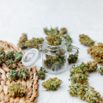 Just what are cannabis will leave? Marijuana Glossary