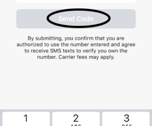 The newest Virtual assistant financing allows pros one hundred % investment instead private financial insurance otherwise a beneficial 20 % 2nd mortgage