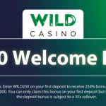 No deposit Free Spins During the Australian Casinos Within the 2024