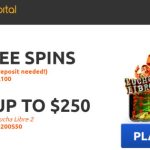 SpinEmpire Gambling establishment Available languages, authoritative webpages, webpages research, genuine slot untamed wolf pack analysis « Gajureal