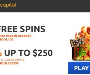 SpinEmpire Gambling establishment Available languages, authoritative webpages, webpages research, genuine slot untamed wolf pack analysis « Gajureal