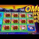 Mr Cashman Pokies: On the web Real cash Pokie because of slot Buffalo Blitz the Aristocrat