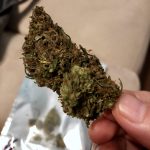 Simple tips to Give up smoking Grass Cannabis Just how Split Cannabis Dependency