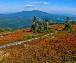 Kulturní a přírodní poklady Frýdku-Místku: proč se zamilovat do této lokality